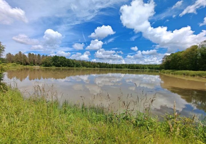 The Cottage Lake Image