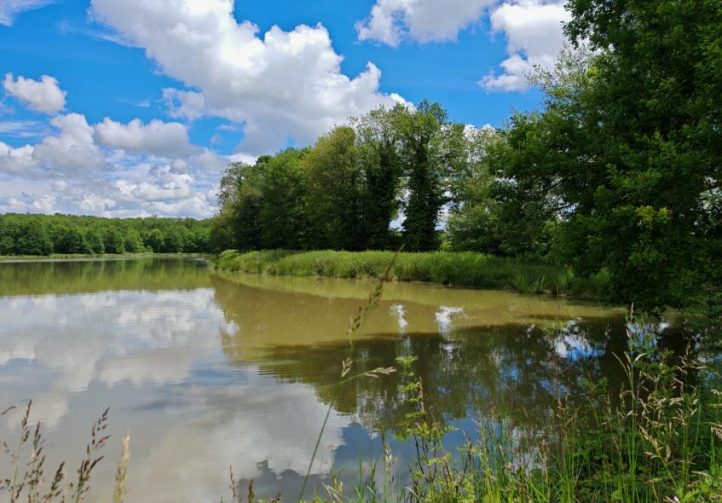 The Cottage Lake Image