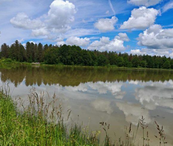 The Cottage Lake Image