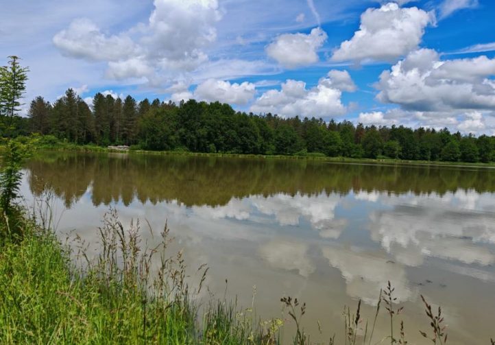 The Cottage Lake Image