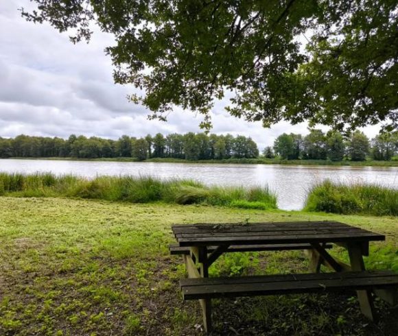 The Cottage Lake Image