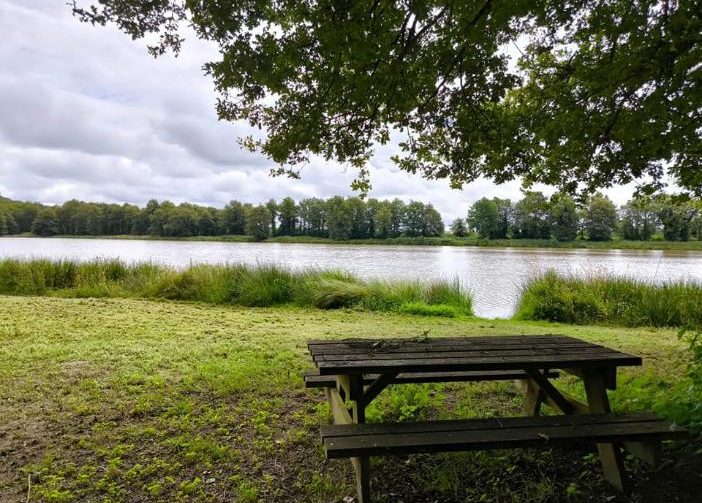 The Cottage Lake Image