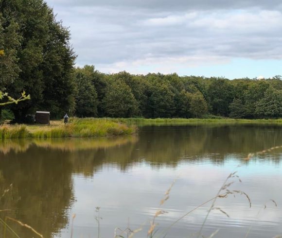 The Cottage Lake Image