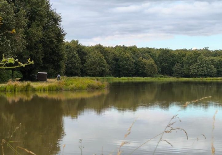 The Cottage Lake Image