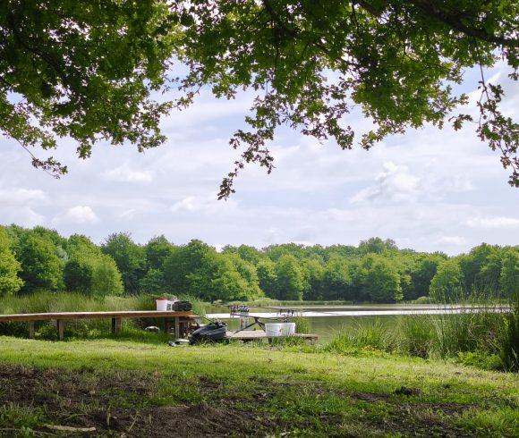 The Cottage Lake Image