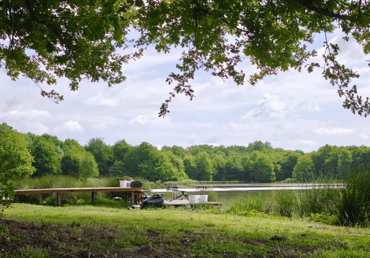 The Cottage Lake Image