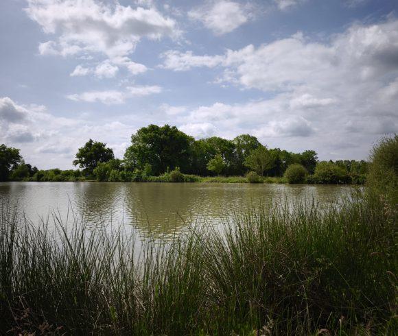 The Cottage Lake Image