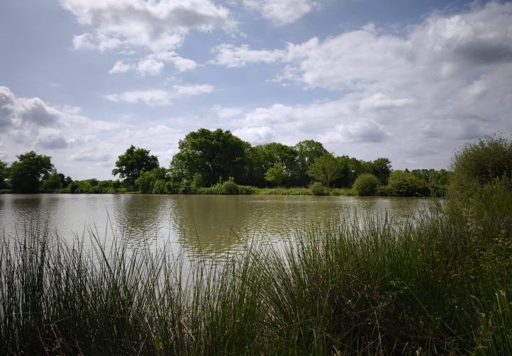 The Cottage Lake Image