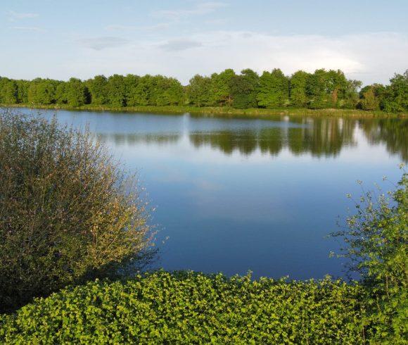The Cottage Lake Image