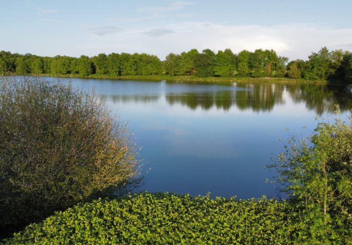 The Cottage Lake Image