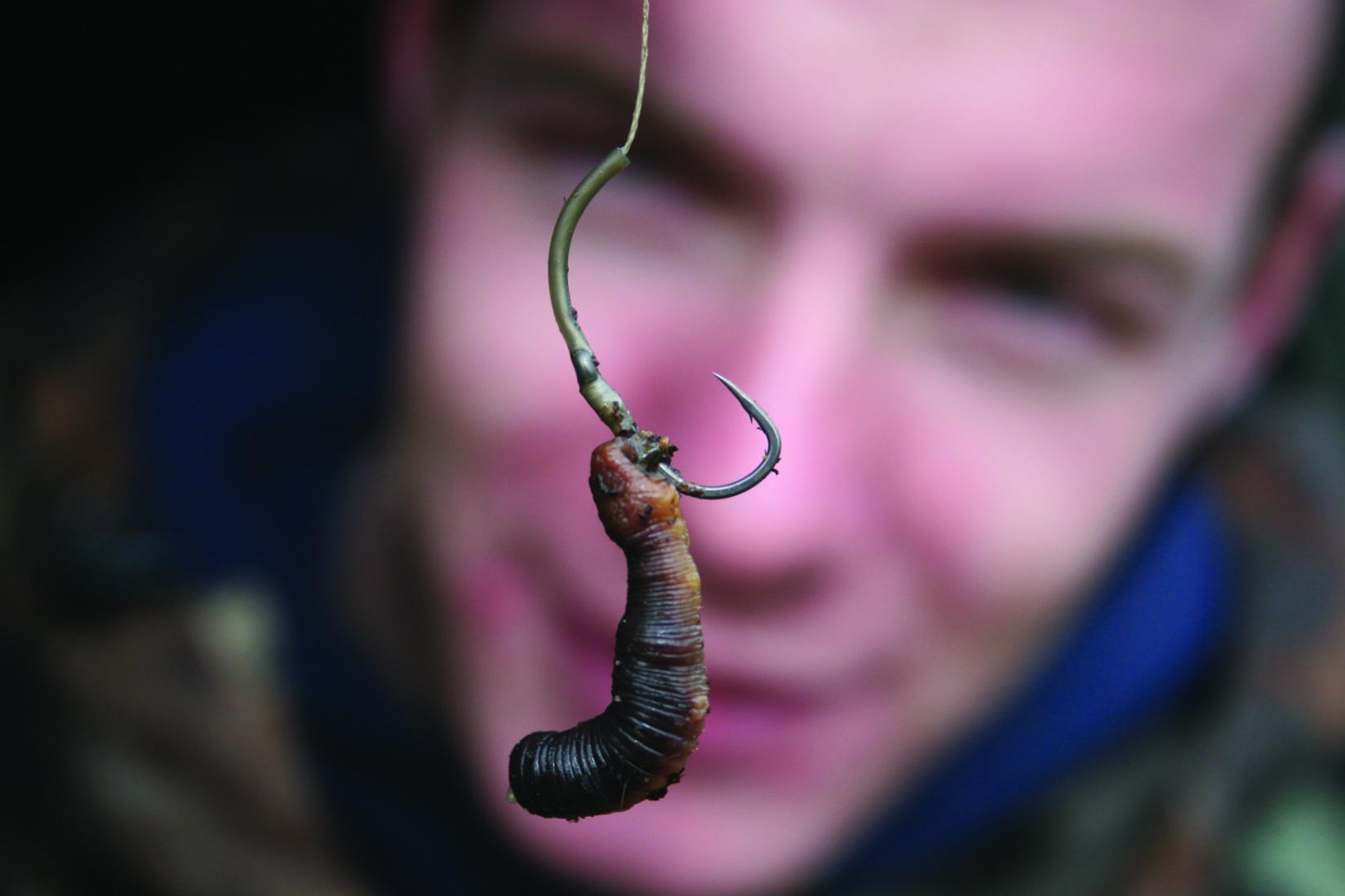 Carp Fishing with Worms – Why, When, and How?