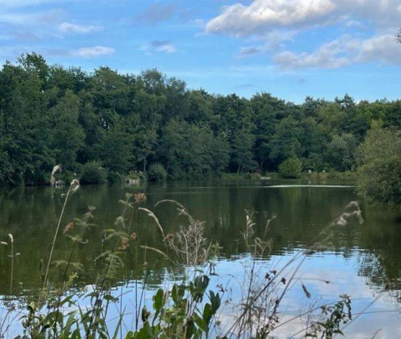 Etang Les Burons Image