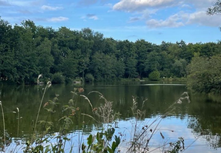 Etang Les Burons Image