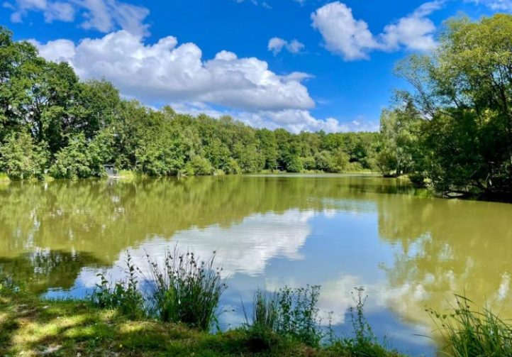 Etang Les Burons Image