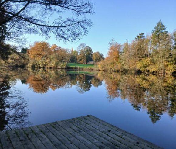 New Mill Fishery Image