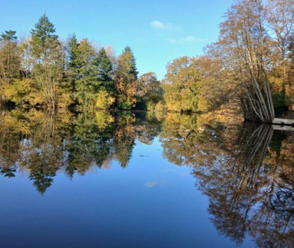 New Mill Fishery Image