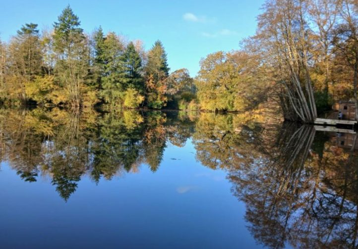 New Mill Fishery Image