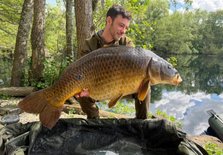 Chef de Ville Image