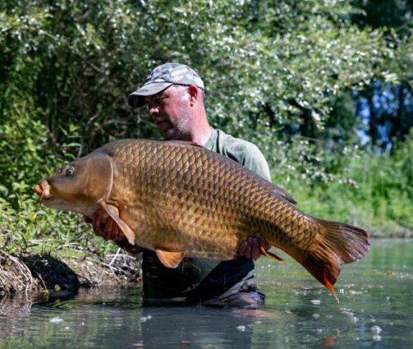 Etang de Berniere Image