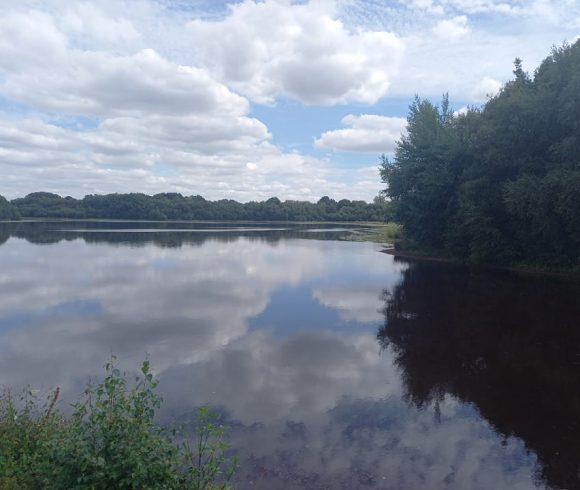 Etang de la Basse Roussiere Image