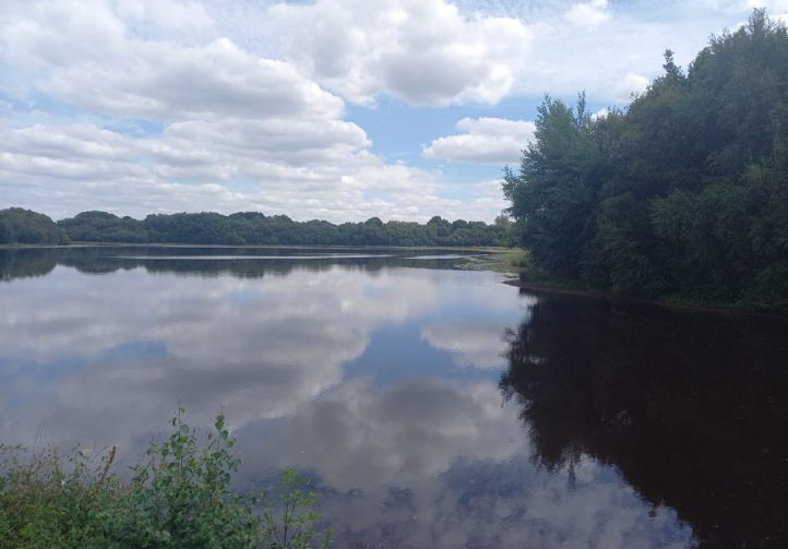 Etang de la Basse Roussiere Image