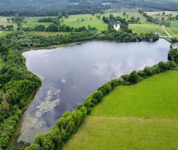 Etang de la Basse Roussiere Image