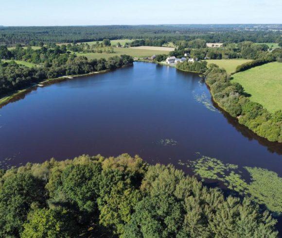 Etang de la Basse Roussiere Image