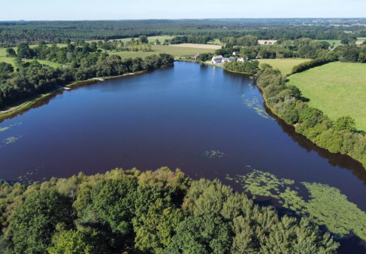 Etang de la Basse Roussiere Image