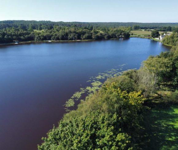 Etang de la Basse Roussiere Image