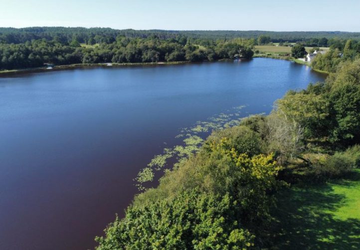 Etang de la Basse Roussiere Image