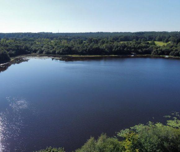 Etang de la Basse Roussiere Image