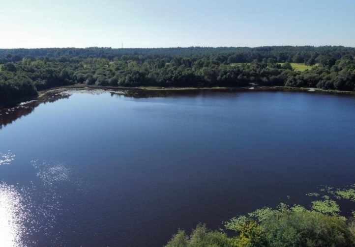 Etang de la Basse Roussiere Image