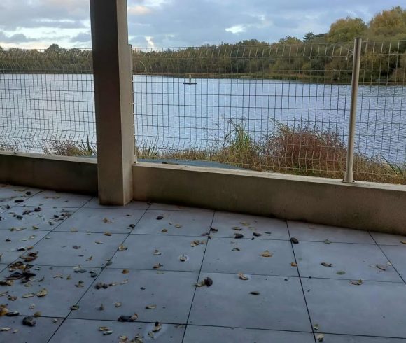 Etang de la Basse Roussiere Image