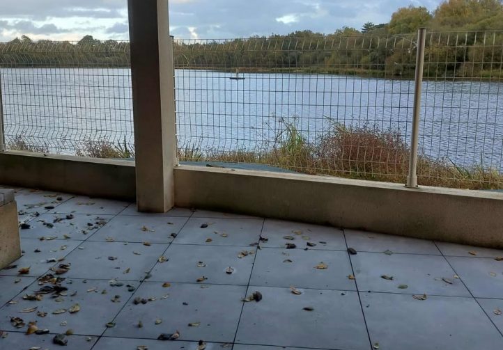 Etang de la Basse Roussiere Image