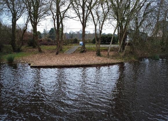 Etang de la Basse Roussiere Image