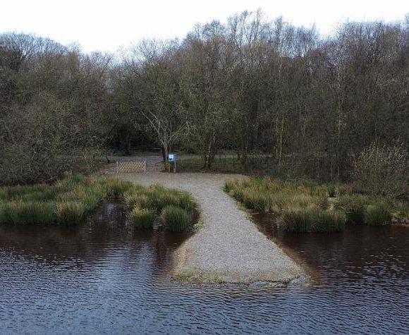 Etang de la Basse Roussiere Image