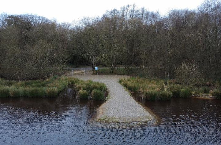 Etang de la Basse Roussiere Image