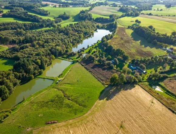 Domaine de Puyregonde North Lake Image