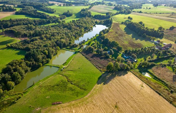 Domaine de Puyregonde North Lake Image