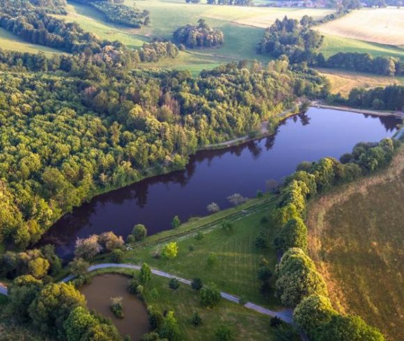 Domaine de Puyregonde South Lake Image