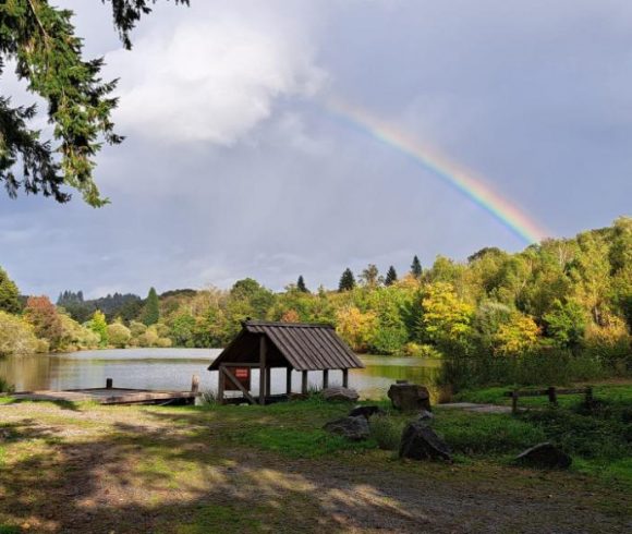 Domaine de Puyregonde South Lake Image