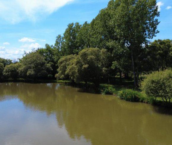 Oak View Lake Image