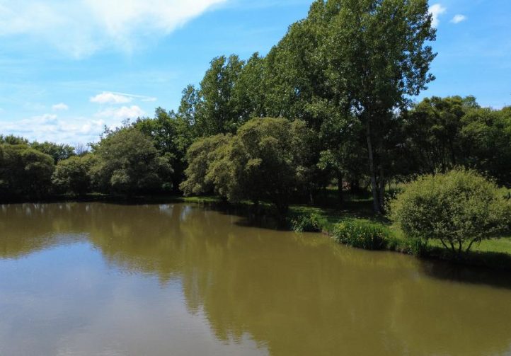 Oak View Lake Image