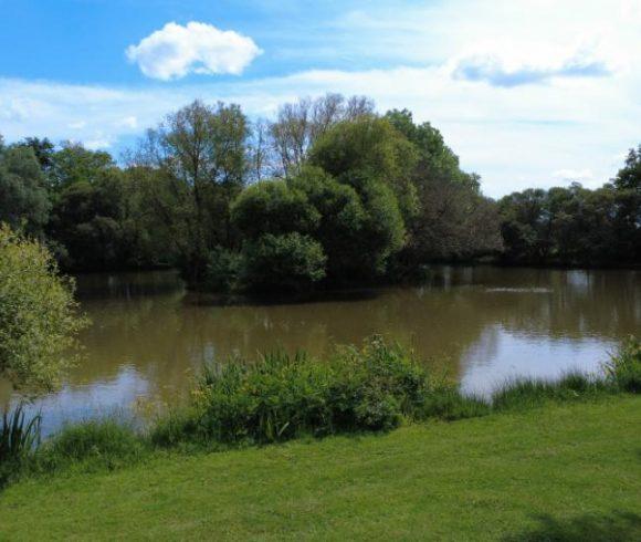 Oak View Lake Image