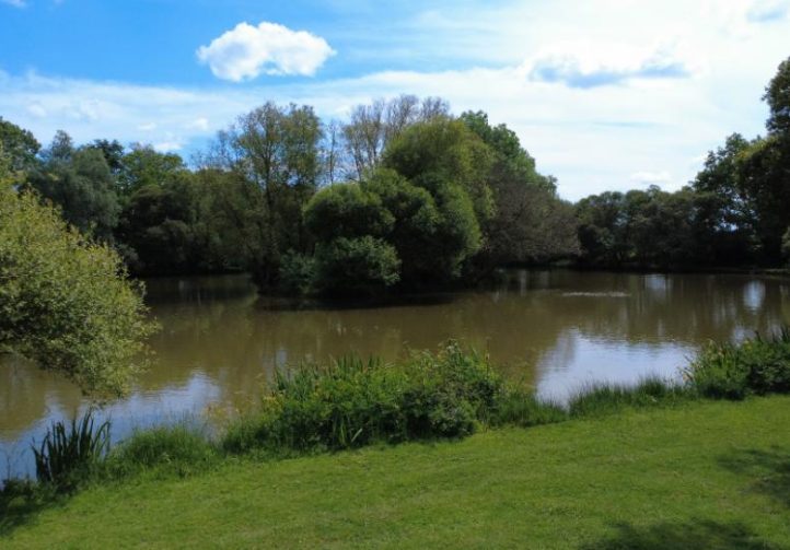 Oak View Lake Image