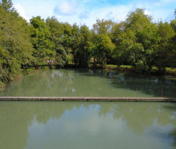 Villereal Carp Fishery Image