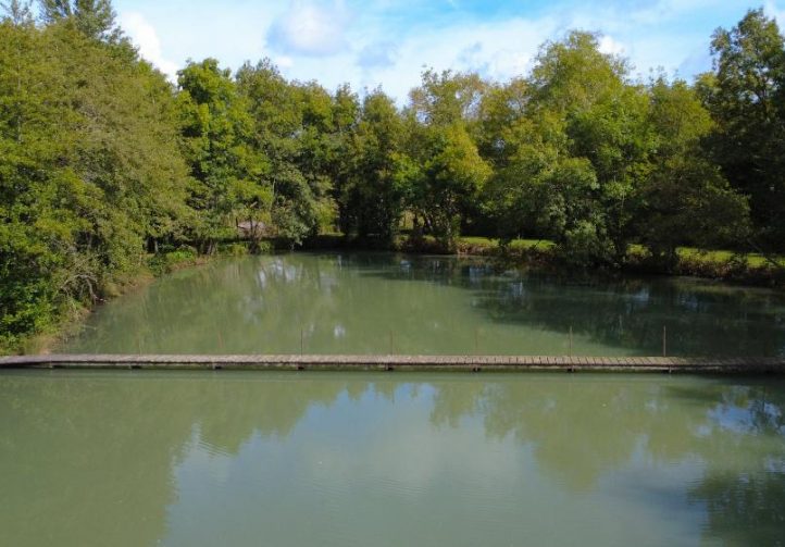 Villereal Carp Fishery Image