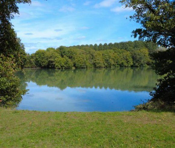 Villereal Carp Fishery Image