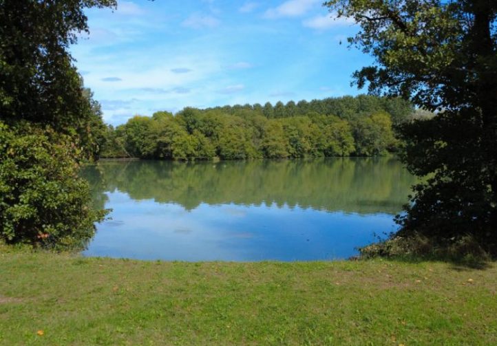 Villereal Carp Fishery Image