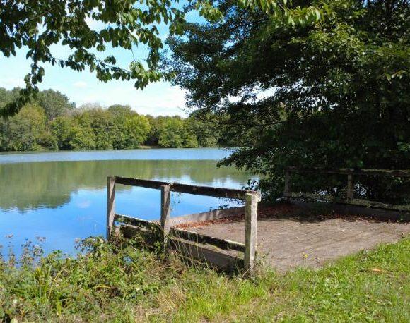 Villereal Carp Fishery Image